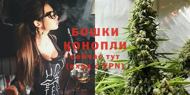 Каннабис White Widow  Звенигород 